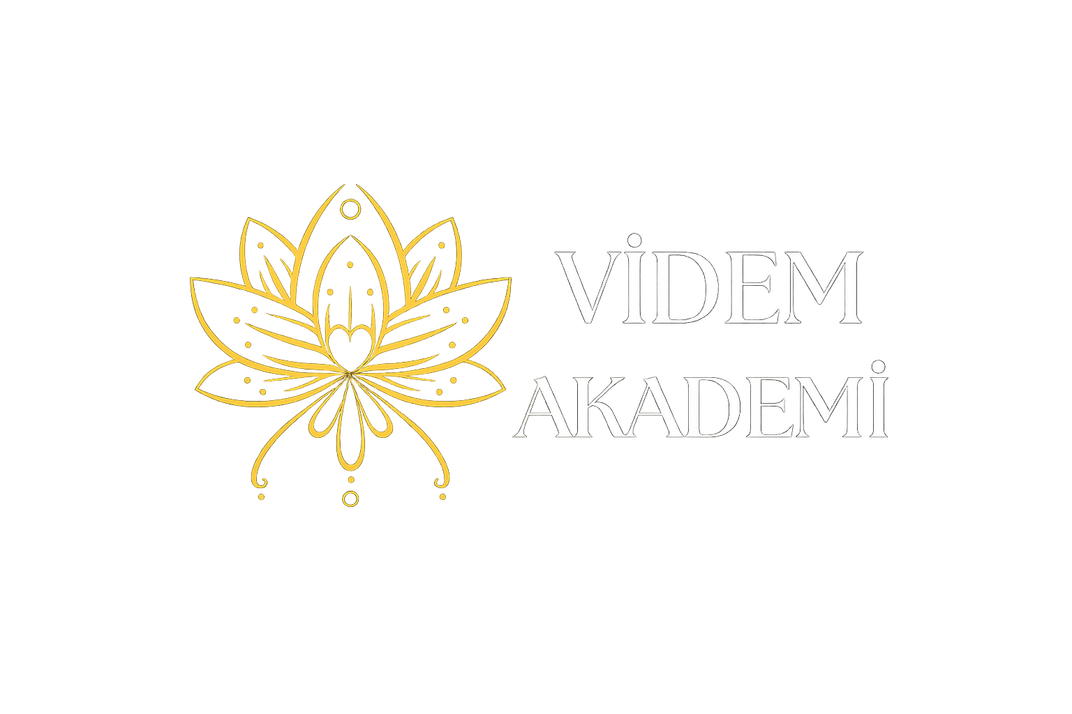 Videm Akademi